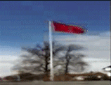 Flagget vrt p re Villa Kro