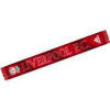 Liverpool skjerf.